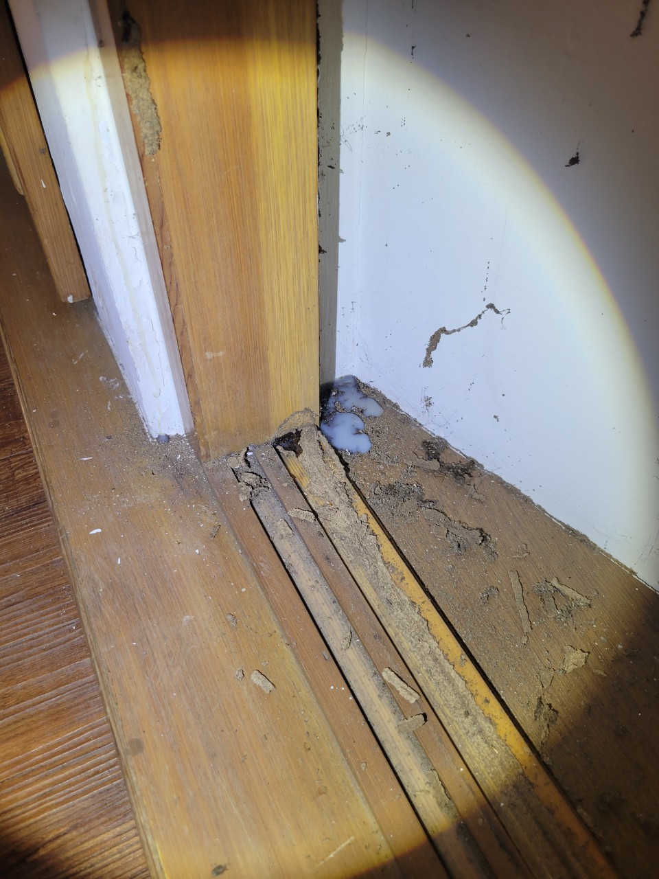 Ho消毒有限公司的實際案例圖片